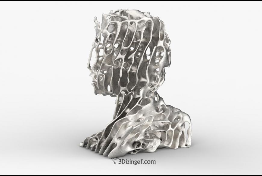 3D-печатный Человек Реакционной Диффузии от Dizingof 